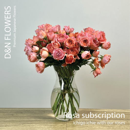 ROSA Subscription